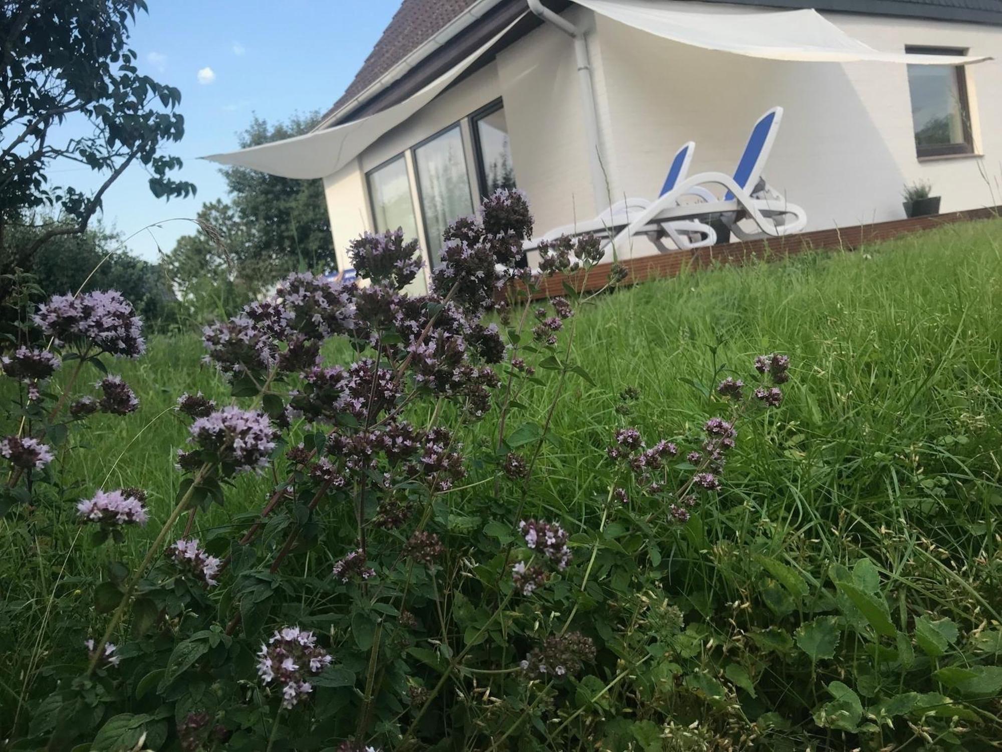 Casa Marcu Wohnung 2 Eg Landkirchen 외부 사진