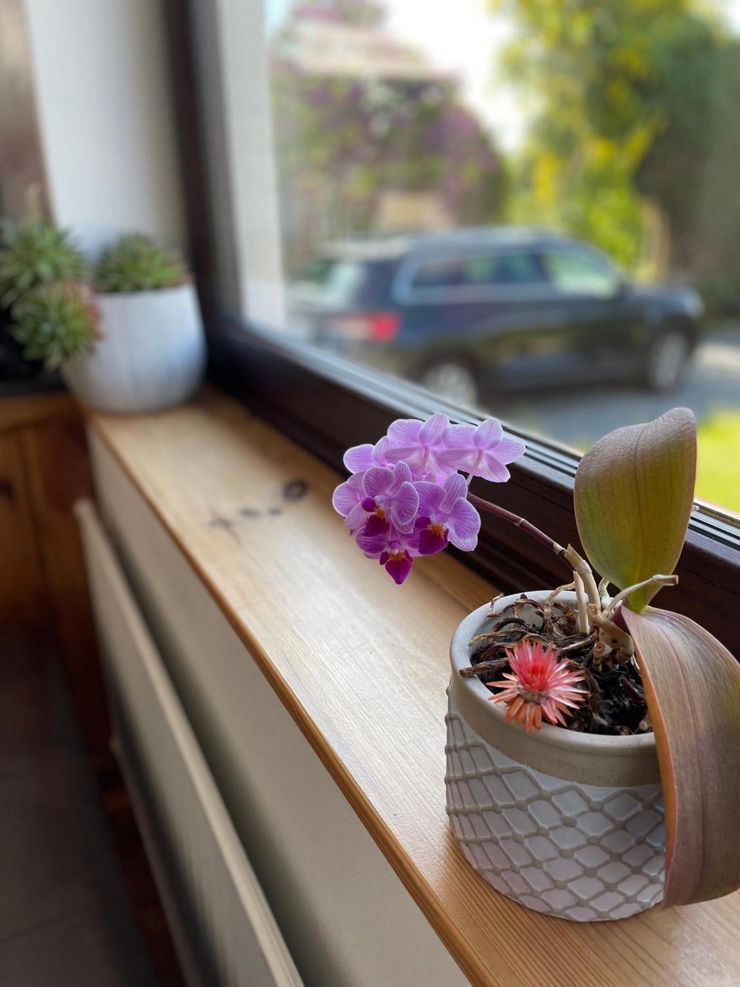 Casa Marcu Wohnung 2 Eg Landkirchen 외부 사진